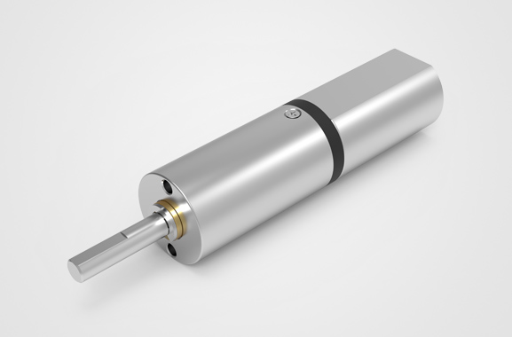 �������Ӿ����������